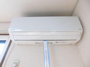 CIMG6843