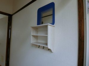 438_234756_11_1000_1000