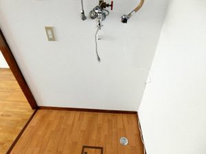 438_234756_7_1000_1000