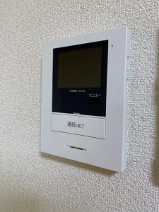 101 (41)