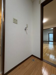 205 (20)